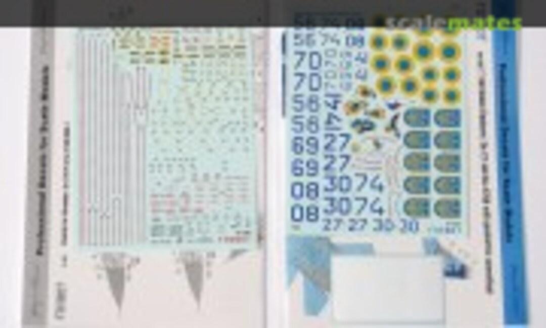 1:48 Ukrainian Flankers: Su-27 and Su-27UB with geometric camouflage (Foxbot 48-095T) 48-095T