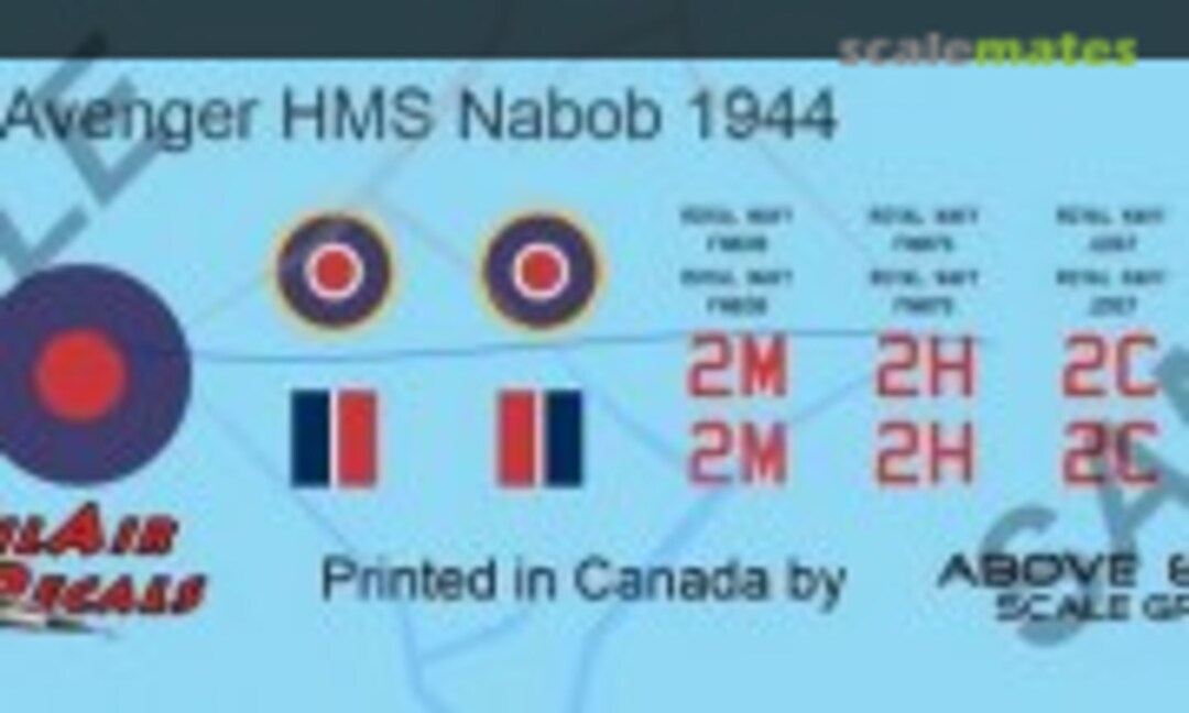 1:48 Grumman TBF-1 Avenger (Above & Below Graphics 240) 240