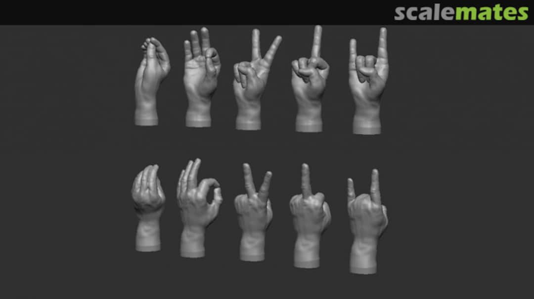 Boxart Hands - Gestures F028-48 Firma49