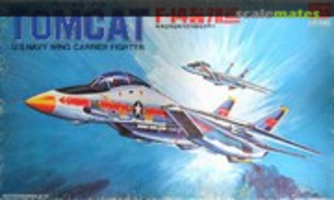 1:100 Grumman F-14A Tomcat (Academy FA003)
