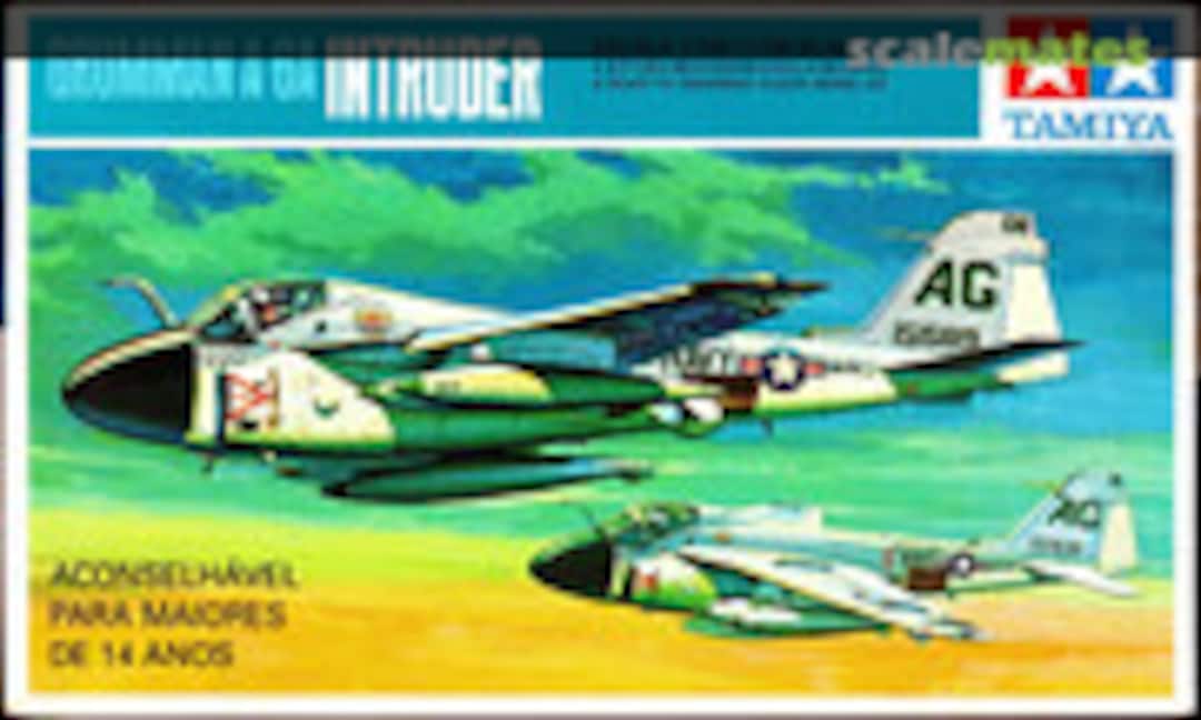 1:100 Grumman A-6A Intruder (Tamiya Brasil 10002)