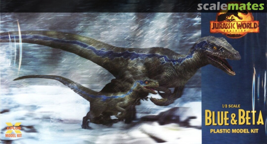 Boxart Blue & Beta 021661 X-Plus Boxart Blue & Beta 021661 X-Plus