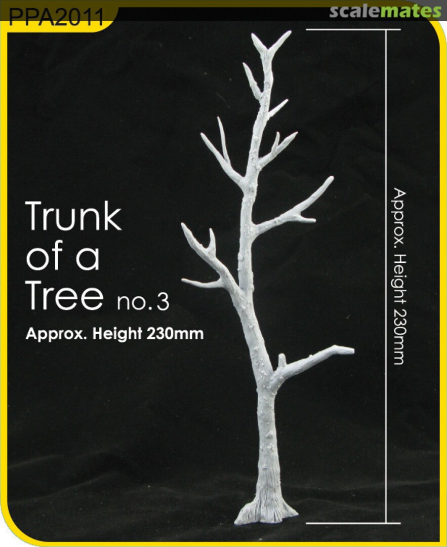 Boxart Trunk of a Tree (no. 3) PPA2011 J's Work