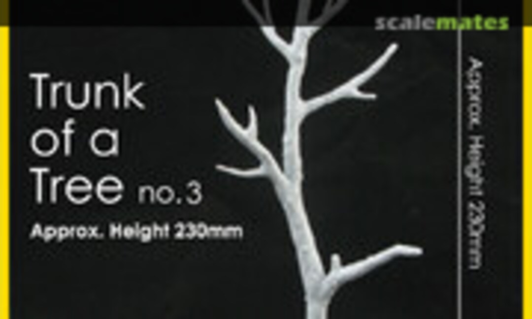 1:35 Trunk of a Tree (no. 3) (J's Work PPA2011) PPA2011