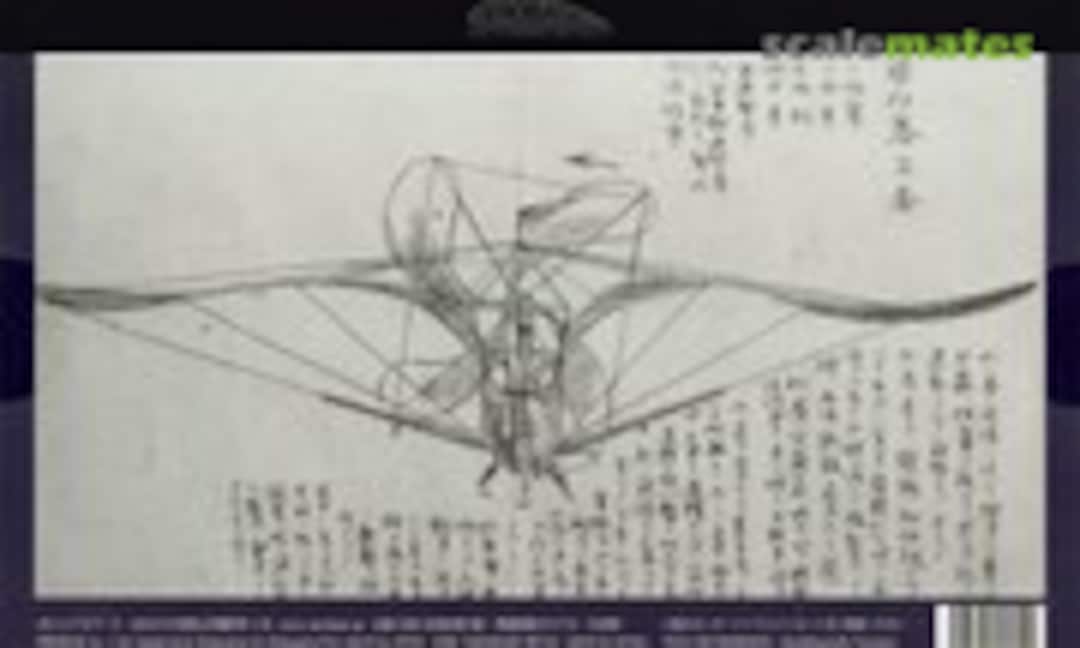 No Tamamushi (Jewel beetle) type flyer (Aerobase A006) A006