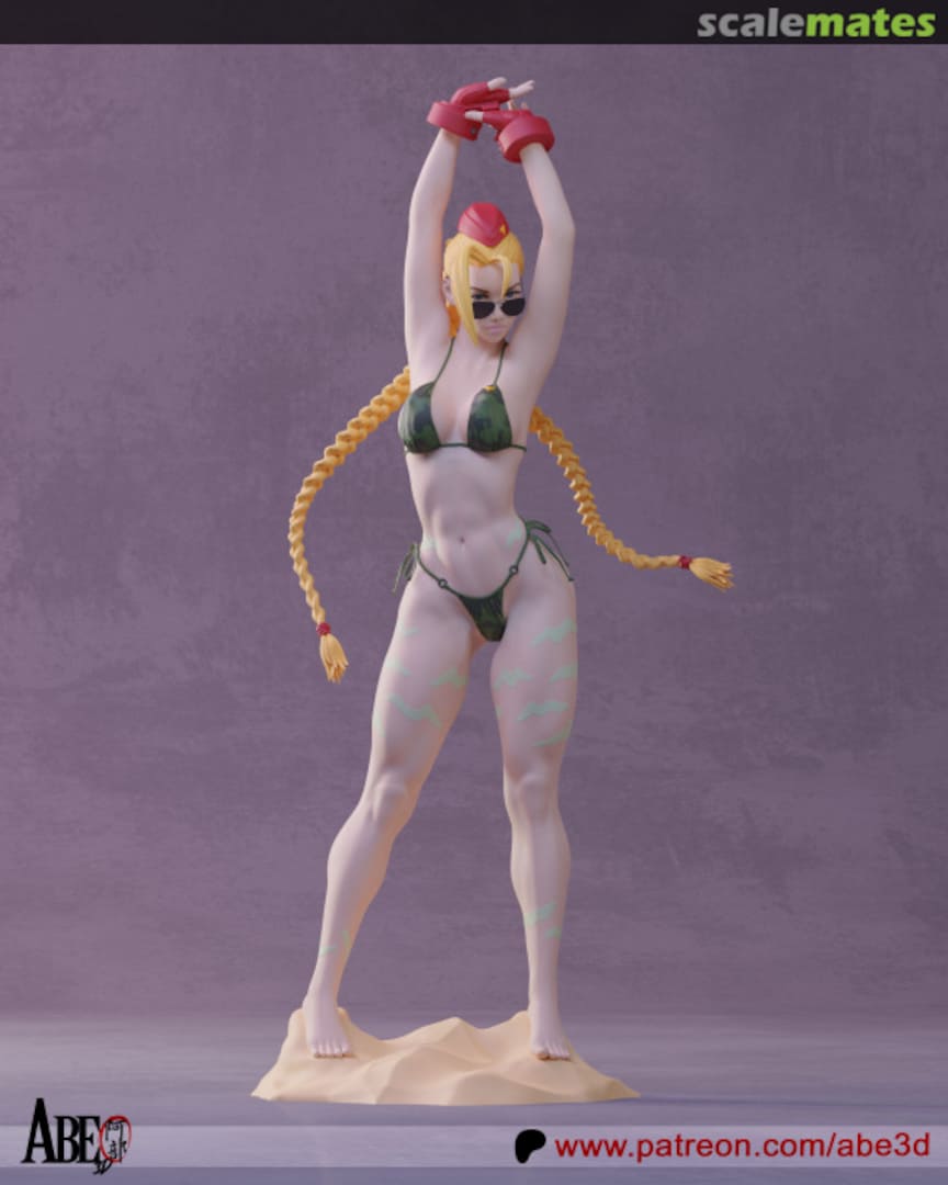 Boxart Cammy  Abe3D
