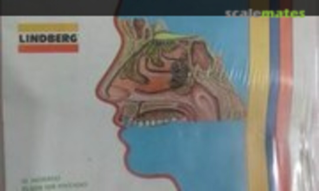 2:1 El Sentido Del Olfato (Lindberg Venezuela 1313) 1313