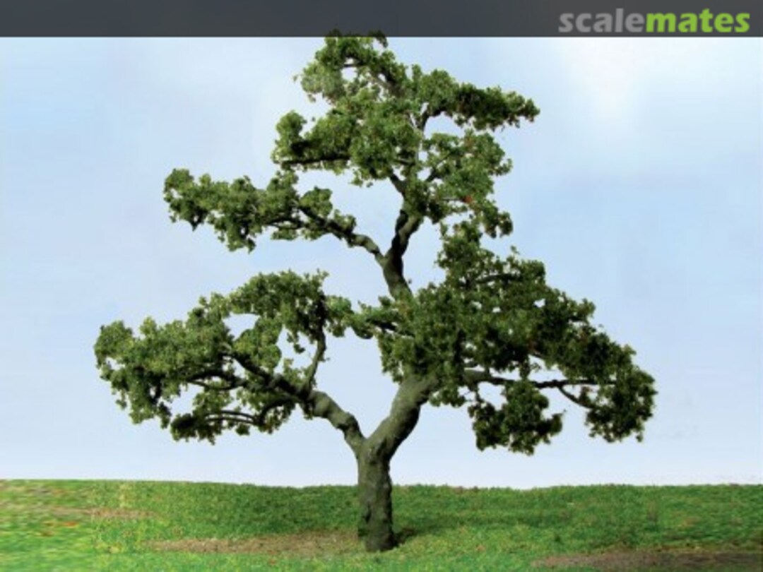 Boxart Beech Tree 92222 JTT Scenery Products Boxart Beech Tree 92222 JTT Scenery Products