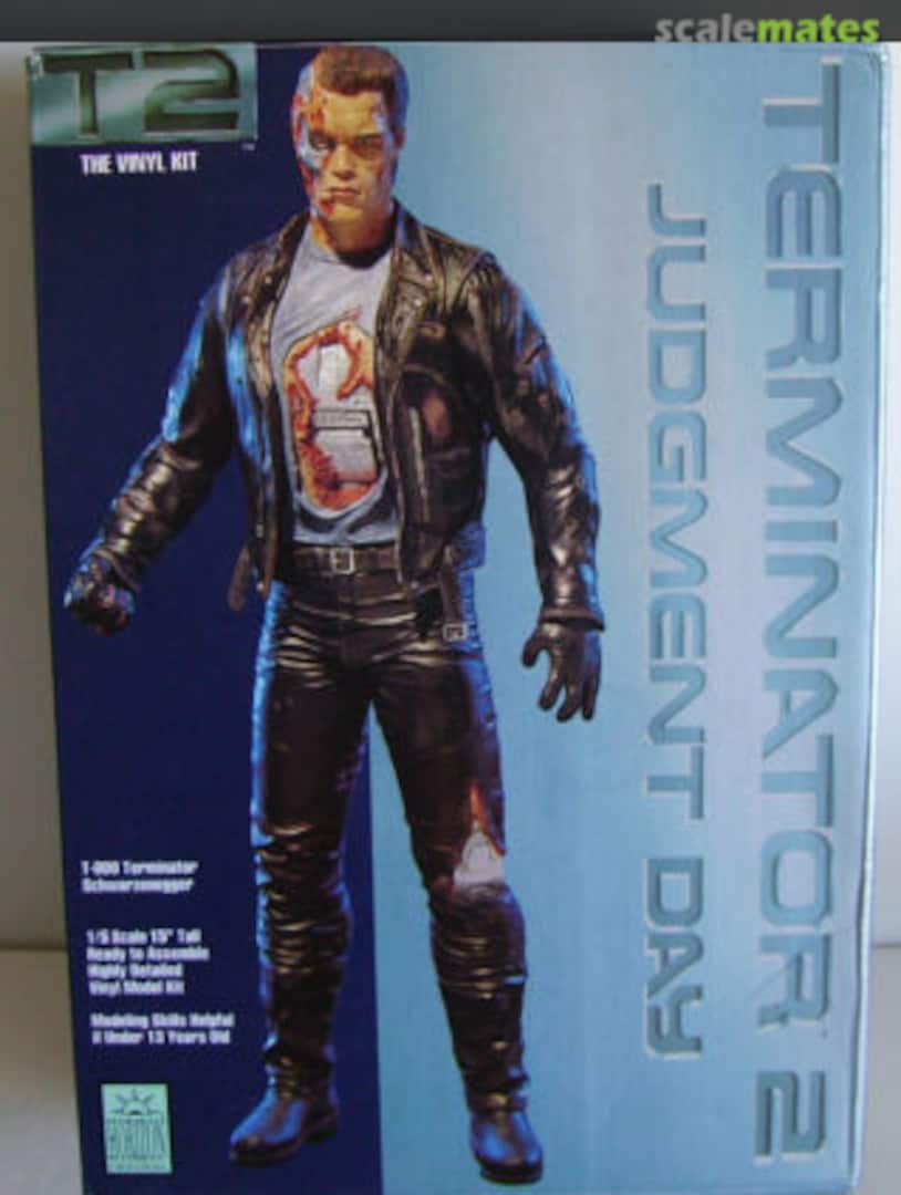 Boxart TERMINATOR 2 Judgement Day HM020 Horizon Original
