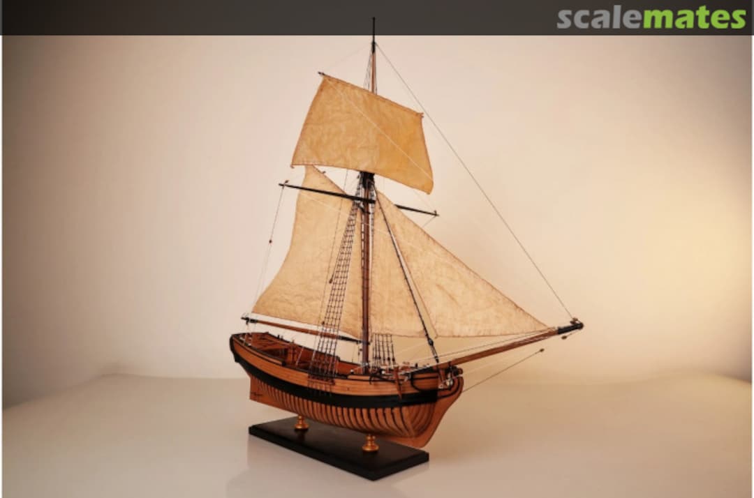 Boxart Hayling Hoy Modelship Dockyard Boxart Hayling Hoy Modelship Dockyard