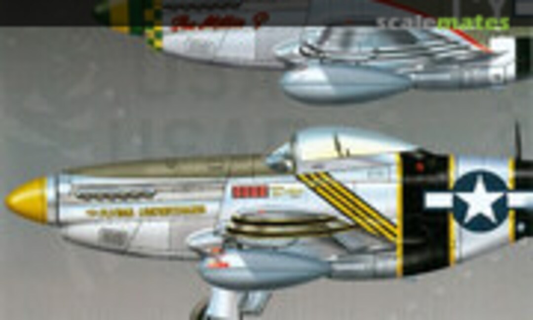 1:48 P-51 Mustang (Eagle Strike Productions EP48286) EP48286