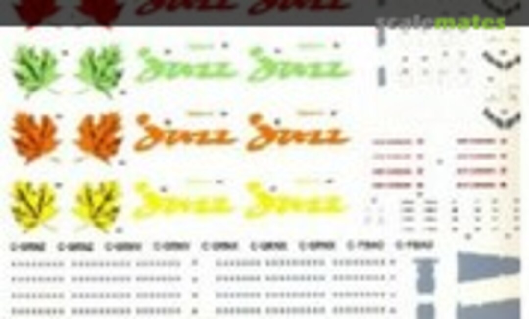 1:144 British Aerospace 146-200 (Brasil Decals BD144-253) BD144-253