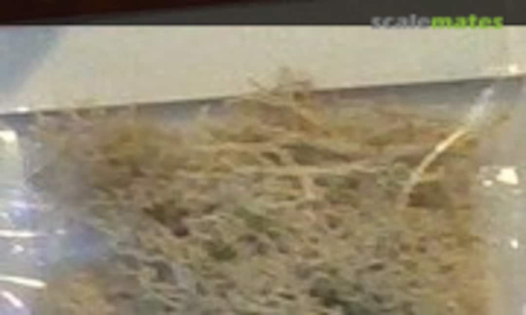 No Landscape Lichen (JTT Scenery Products 95349) 95349