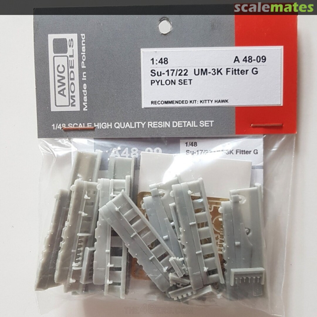 Boxart Su–17/22 UM-3K Fitter G Pylon set A48-09 AWC Models Boxart Su–17/22 UM-3K Fitter G Pylon set A48-09 AWC Models
