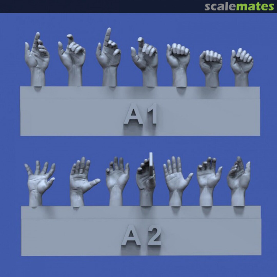 Boxart Assorted hands set No.1 839 Royal Model