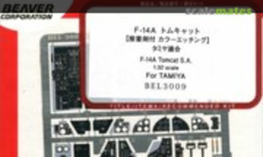 1:32 F-14A Interior (Beaver Corporation BEL3009) BEL3009
