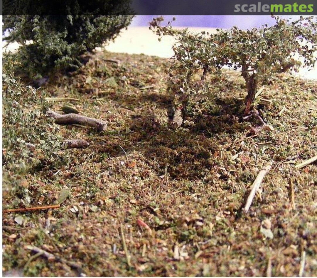 Boxart General Green Scatter; 50ml SCAT05 Reality in Scale