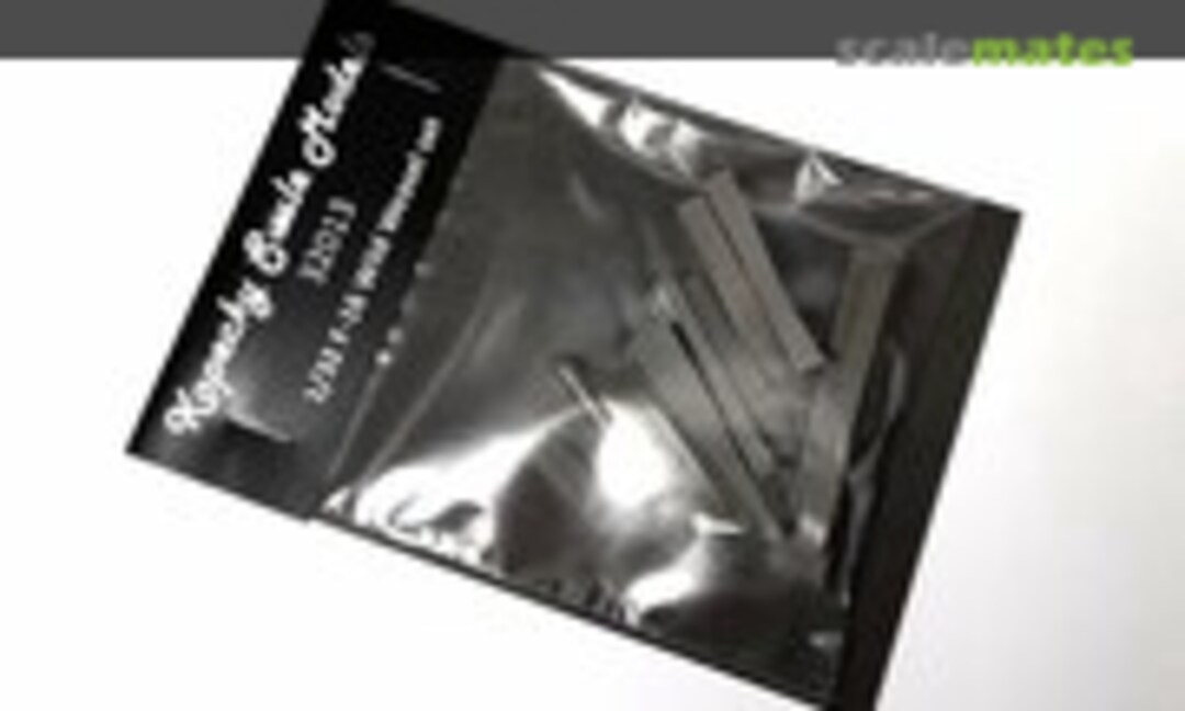 1:32 F-16 Wild Weasel (Kopecky Scale Models 32013) 32013