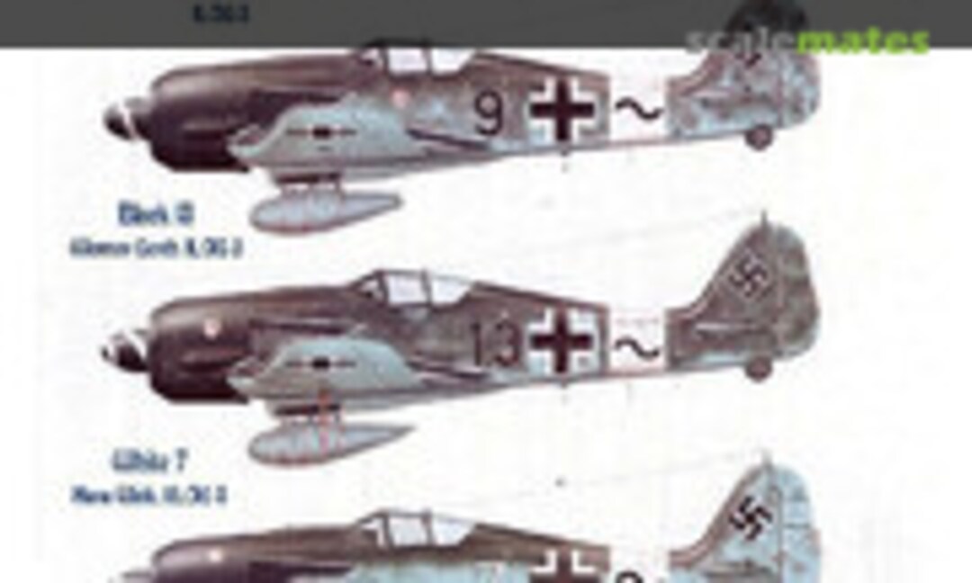 1:48 Fw 190 A-8s (Eagle Editions EagleCals EC48-99) EagleCals EC48-99