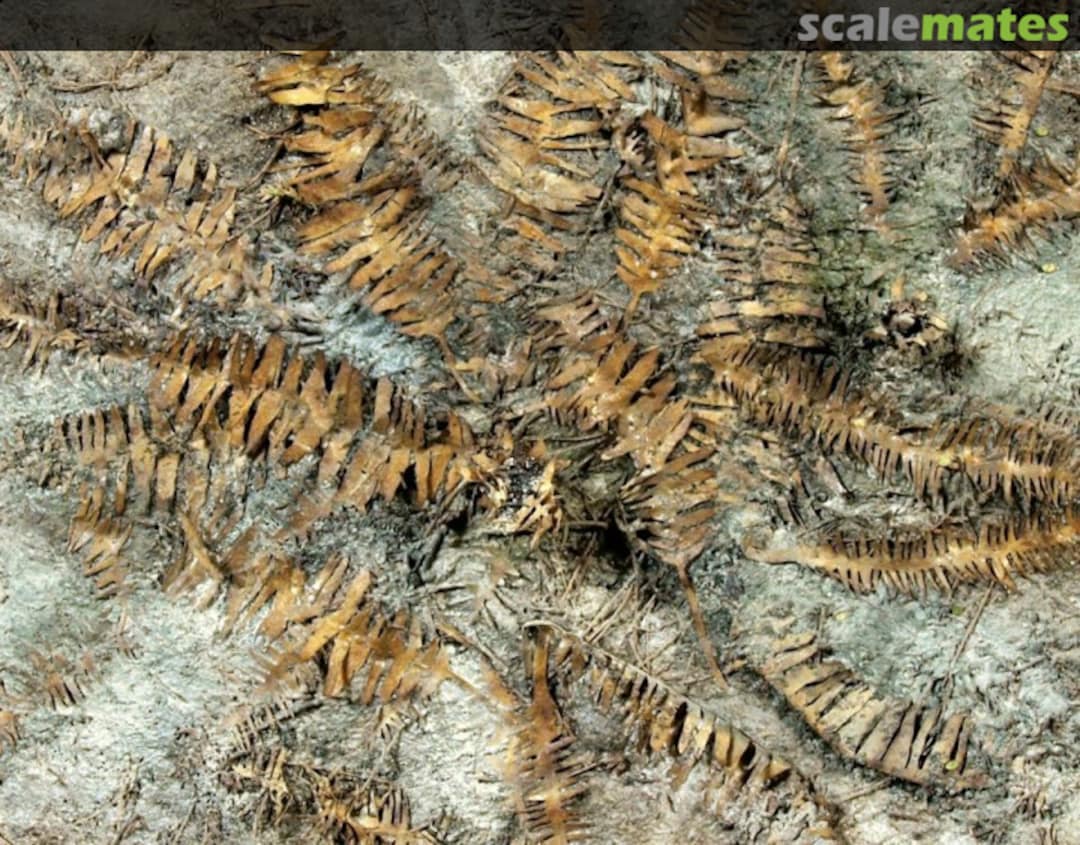 Boxart Dry banana leaves VG7-040 Model Scene Boxart Dry banana leaves VG7-040 Model Scene