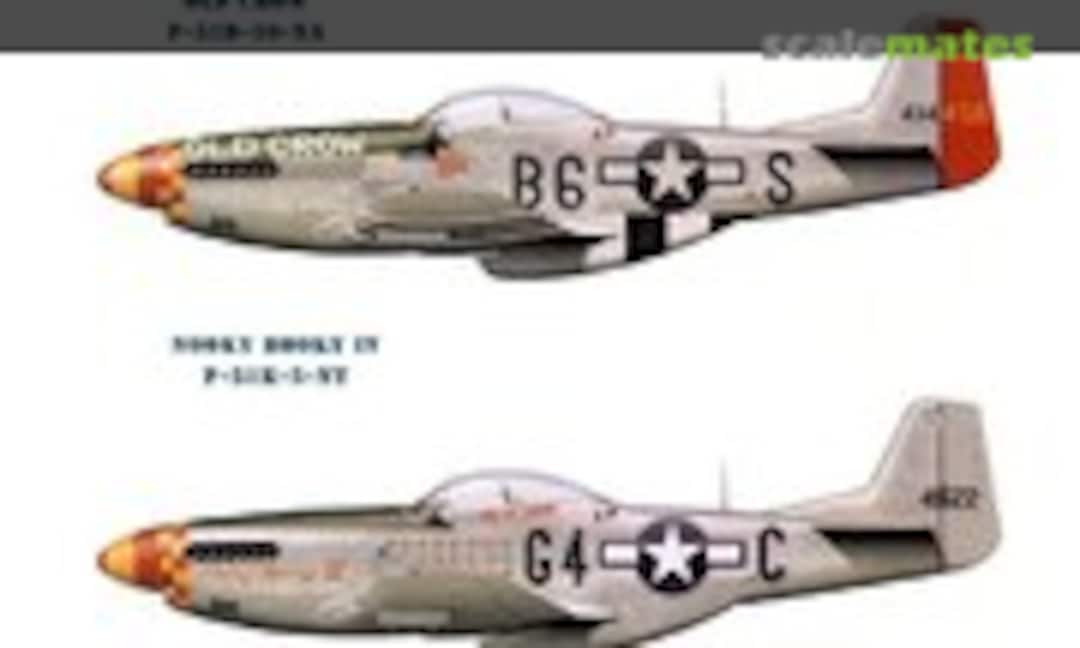 1:48 P-51D Mustang (Eagle Editions EagleCals EC48-101) EagleCals EC48-101