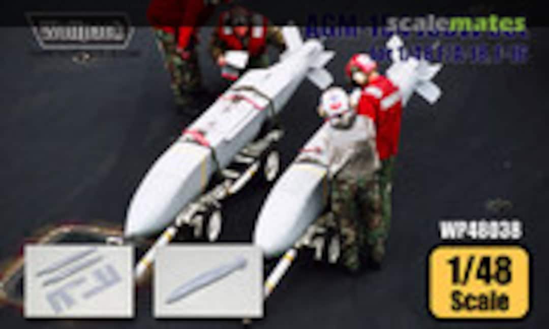 1:48 AGM-154 JSOW Set (Wolfpack WP48038) WP48038
