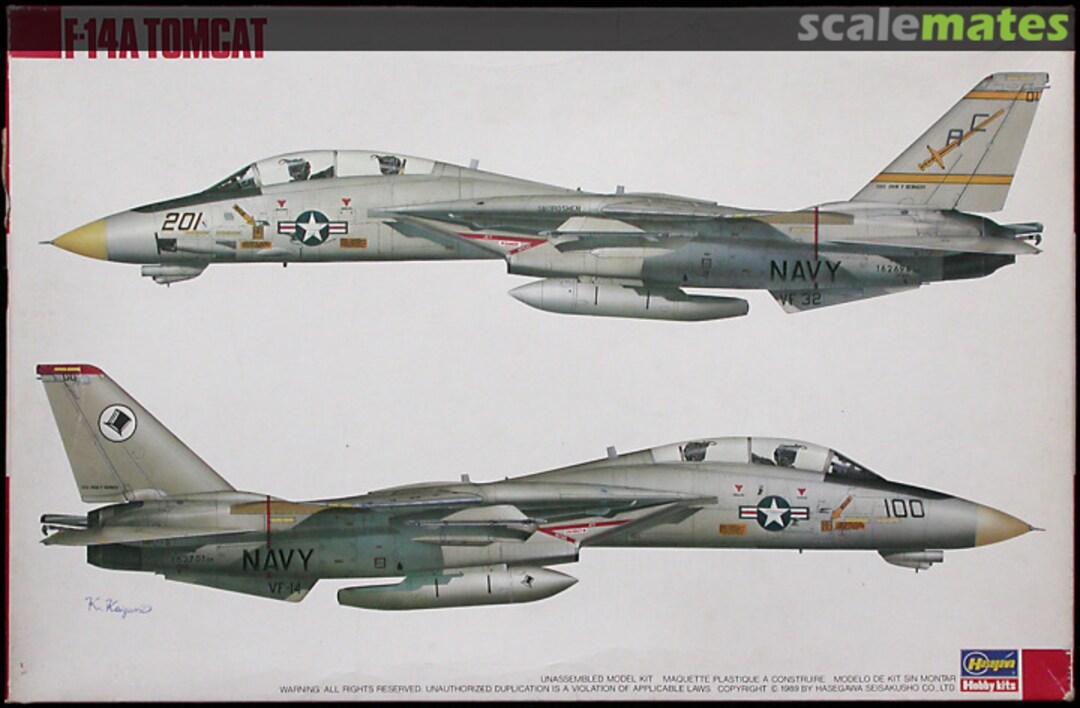 Boxart F-14A Tomcat 51514 Hasegawa Boxart F-14A Tomcat 51514 Hasegawa