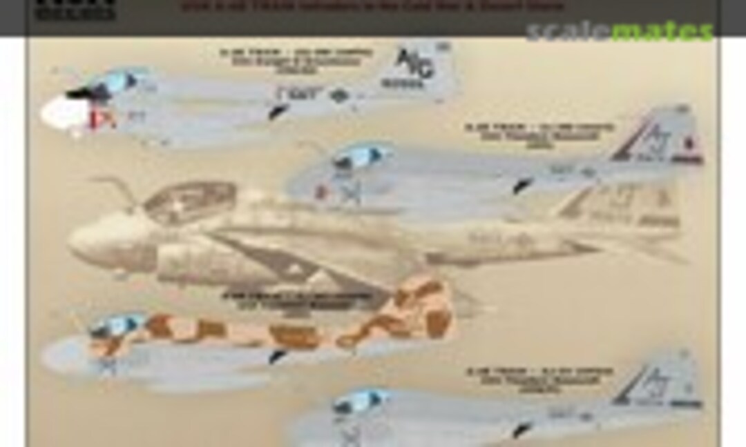 1:32 VA-65 Tigers (2) (AOA decals 32-024) 32-024