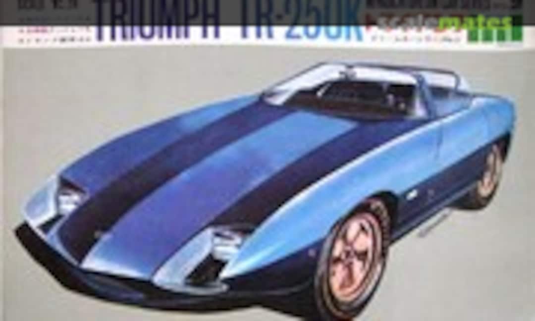 1:28 Triumph TR250K (Miyauchi )