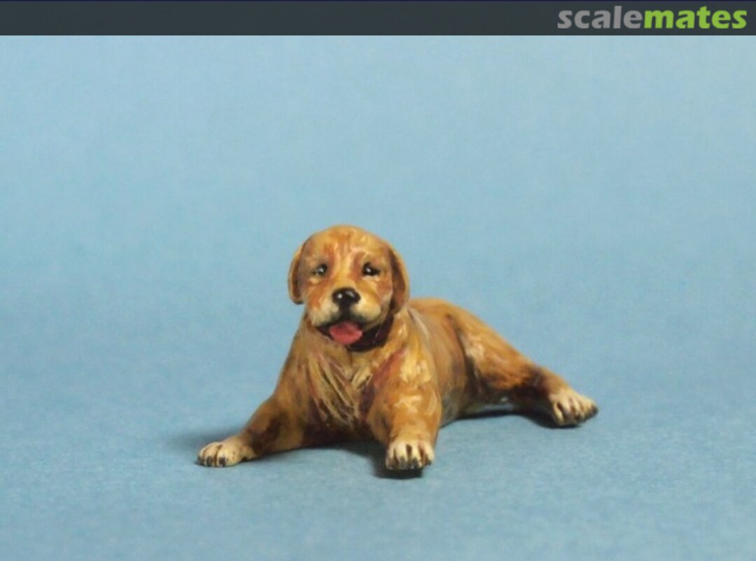 Boxart Golden Retriever ML-065 Aurora Model Boxart Golden Retriever ML-065 Aurora Model