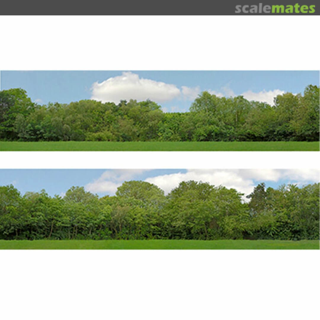 Boxart High Trees Backscene Expo-95127 Art Printers Boxart High Trees Backscene Expo-95127 Art Printers