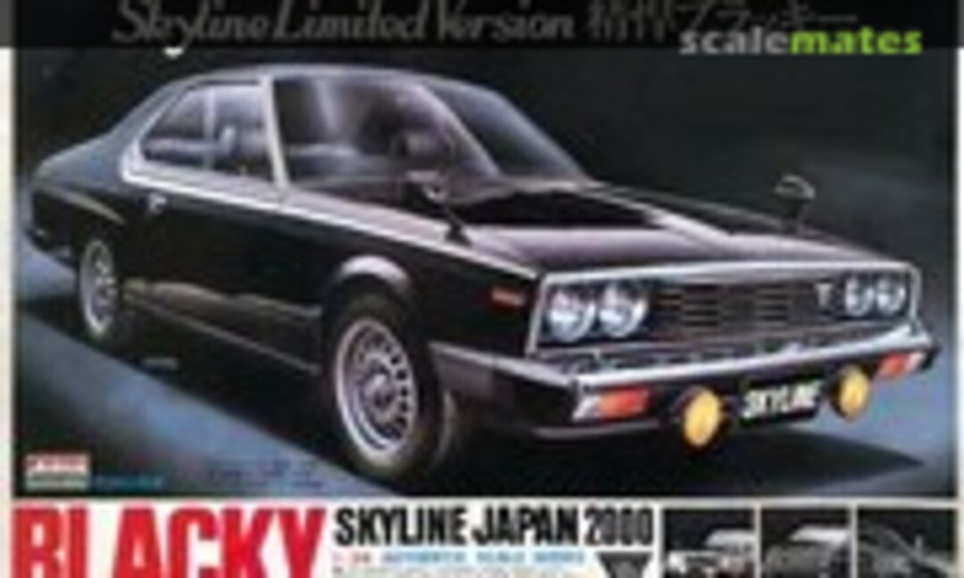 1:24 Skyline 2000 GT-E-L &quot;Blacky&quot; Limited Version (ARII AR-66B-500)