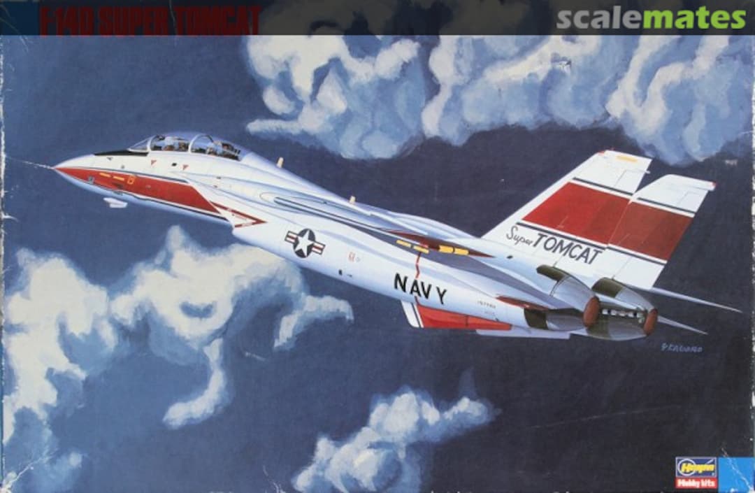 Boxart F-14D Super Tomcat 51504 Hasegawa Boxart F-14D Super Tomcat 51504 Hasegawa
