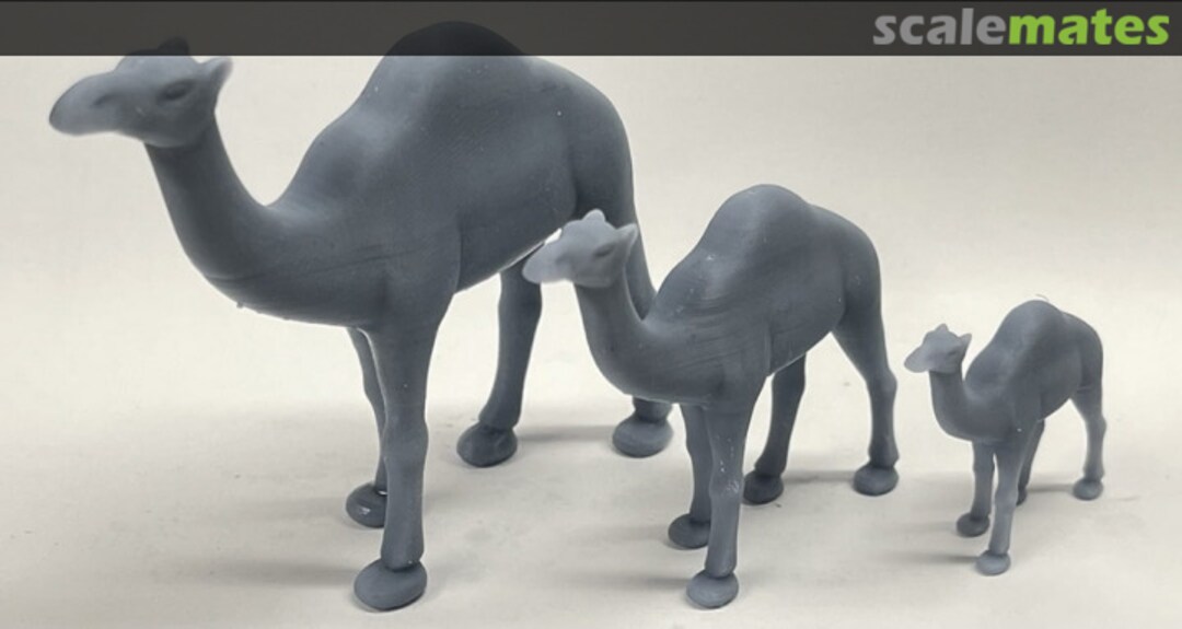 Boxart Dromedary camel (1 piece) 43130206 EMP3d Boxart Dromedary camel (1 piece) 43130206 EMP3d