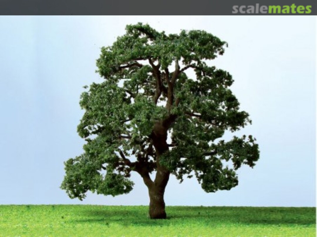 Boxart Live Oak 92423 JTT Scenery Products Boxart Live Oak 92423 JTT Scenery Products