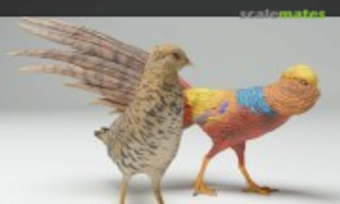 1:35 Golden Pheasant - Male and female (EMP3d 35130538) 35130538
