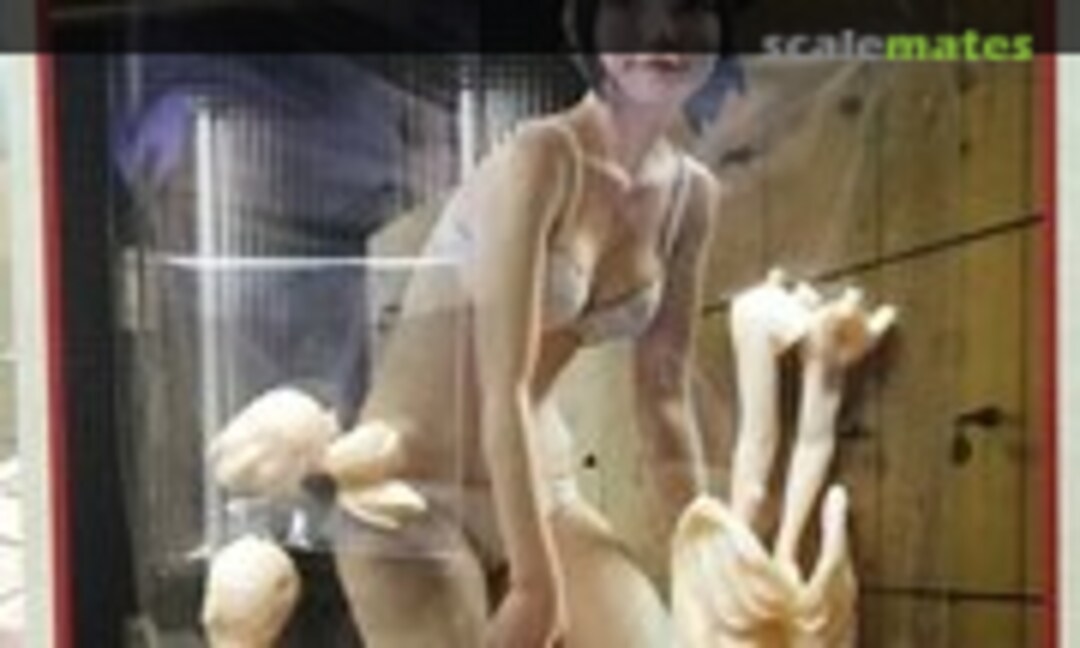 1:20 Training Girl (Brick Works Series 27) Series 27