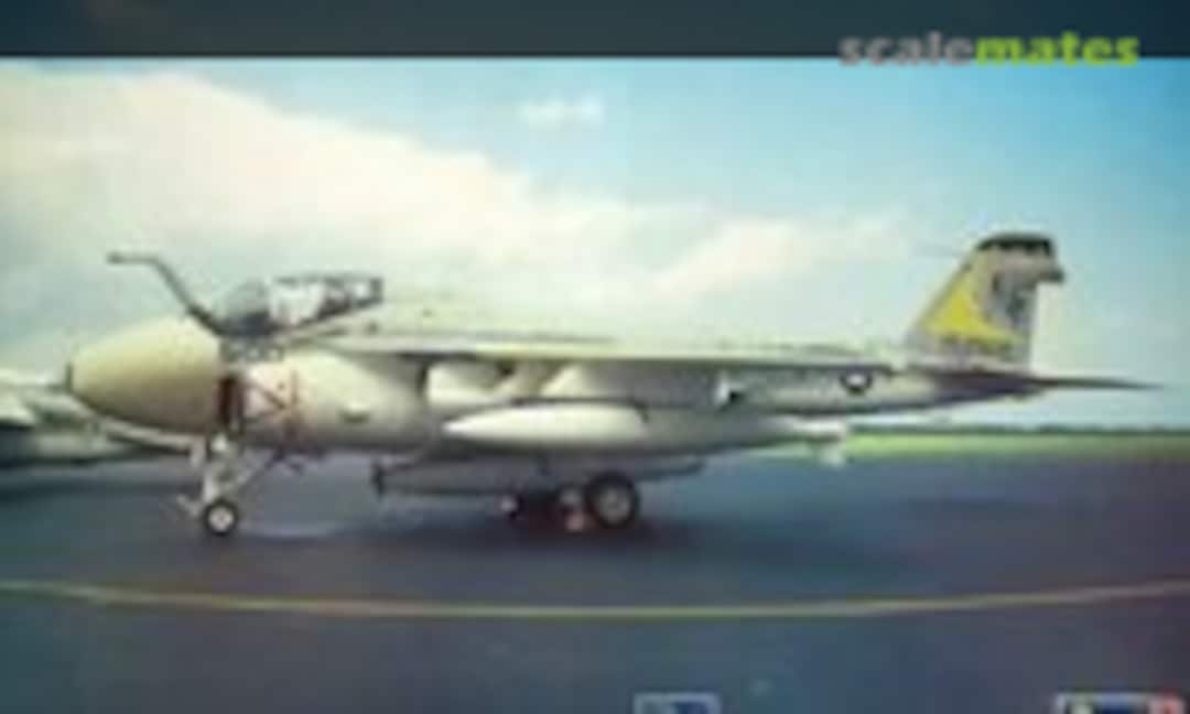 1:48 A-6E Intruder (Hasegawa/Revell 86181)