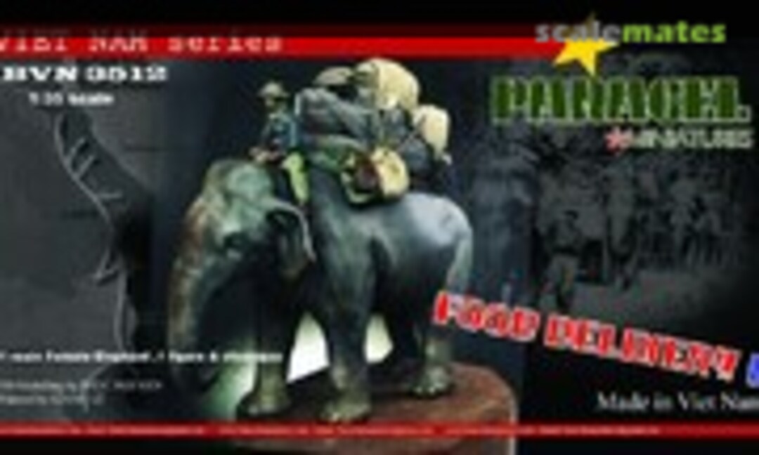 1:35 NVA Food Delivery (Female) (Paracel Miniatures BVN3512) BVN3512