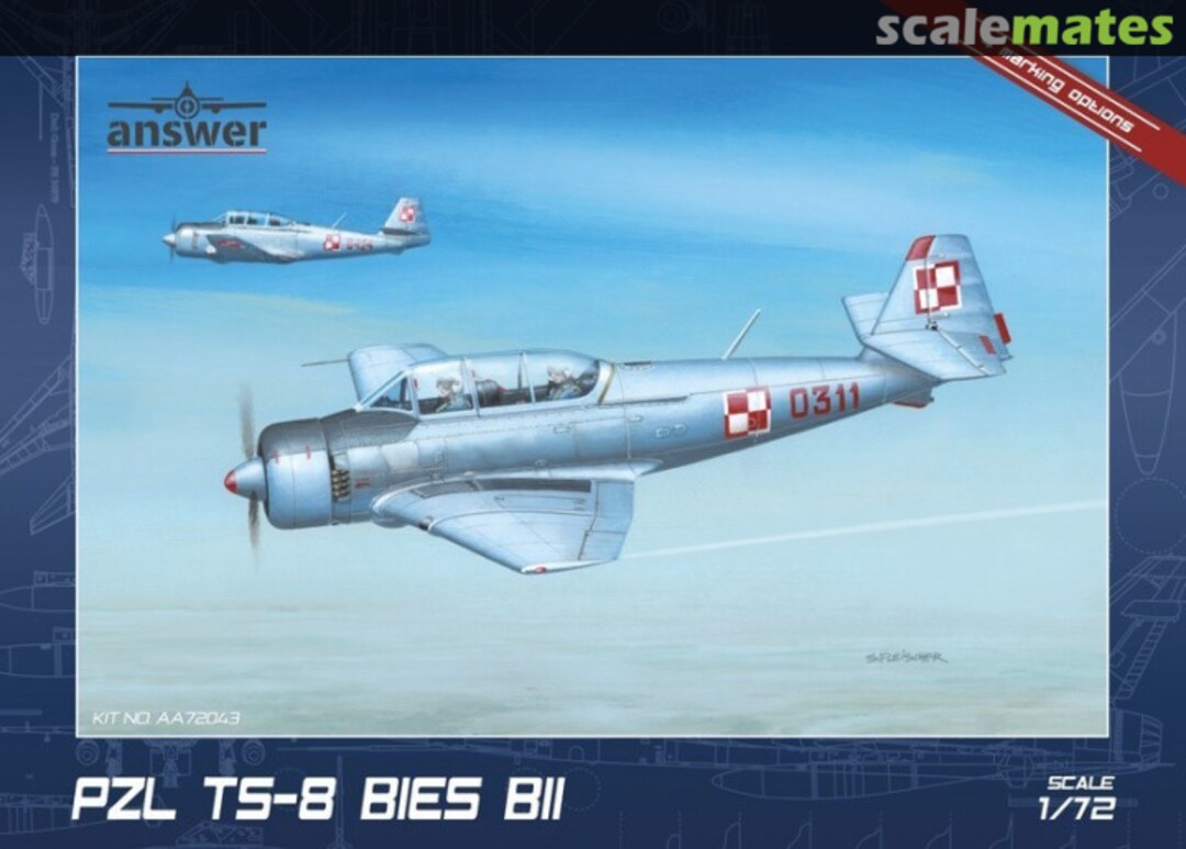 Boxart PZL TS-8 BIES BII AA72043 Answer Boxart PZL TS-8 BIES BII AA72043 Answer