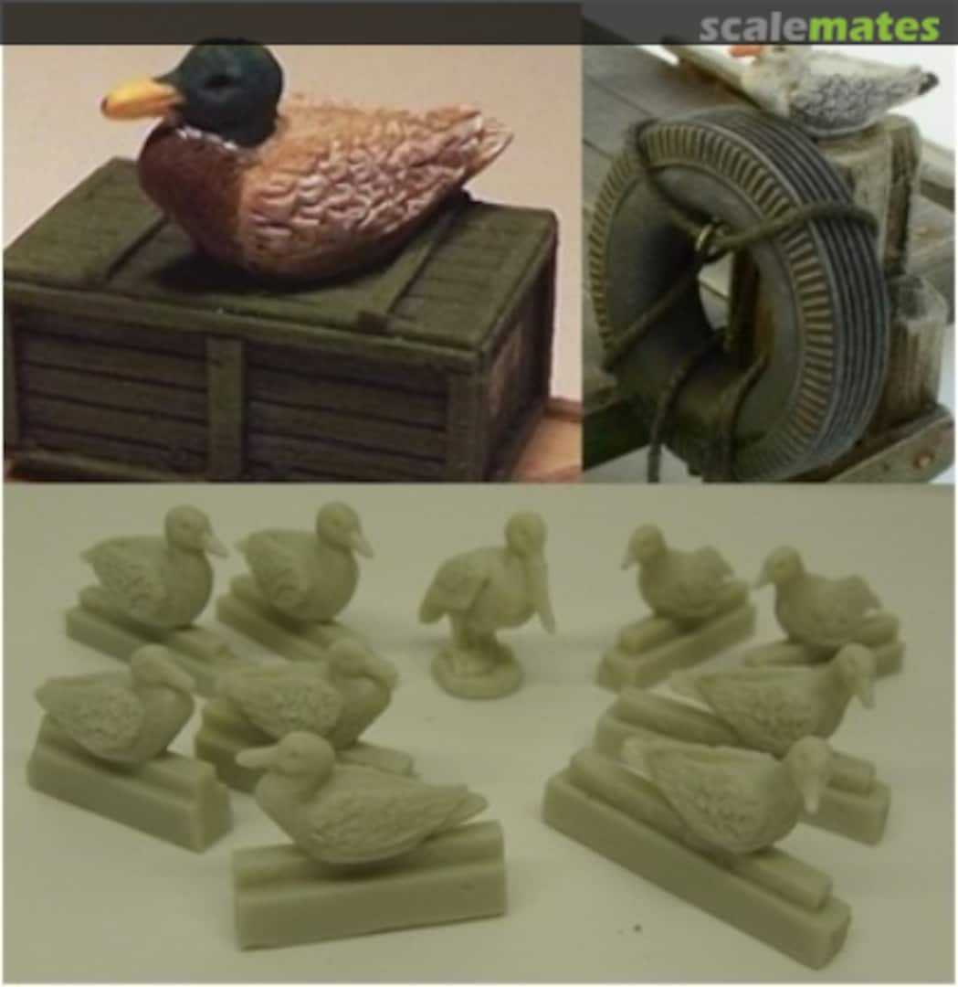 Boxart Water Bird Set 35211 Reality in Scale