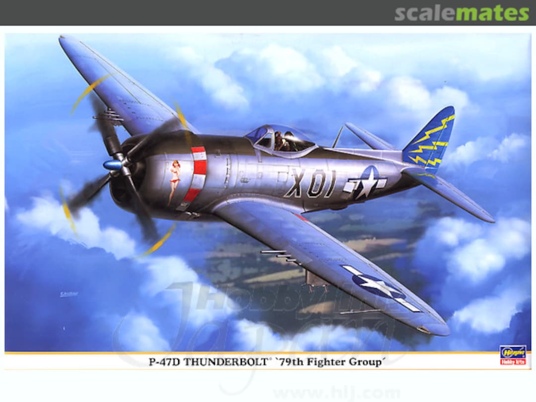 Boxart P-47D Thunderbolt '79th Fighter Group' 08187 Hasegawa Boxart P-47D Thunderbolt '79th Fighter Group' 08187 Hasegawa