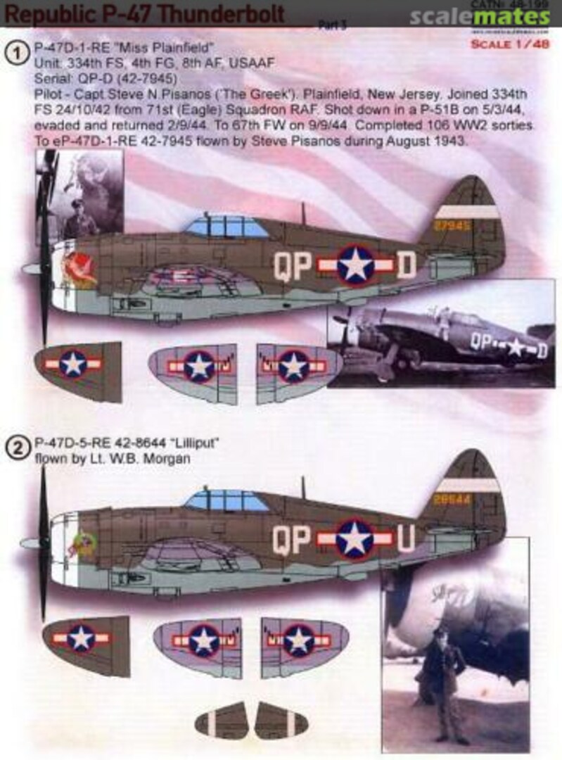 Boxart Republic P-47D (part 3) - decal 48-199 Print Scale Boxart Republic P-47D (part 3) - decal 48-199 Print Scale