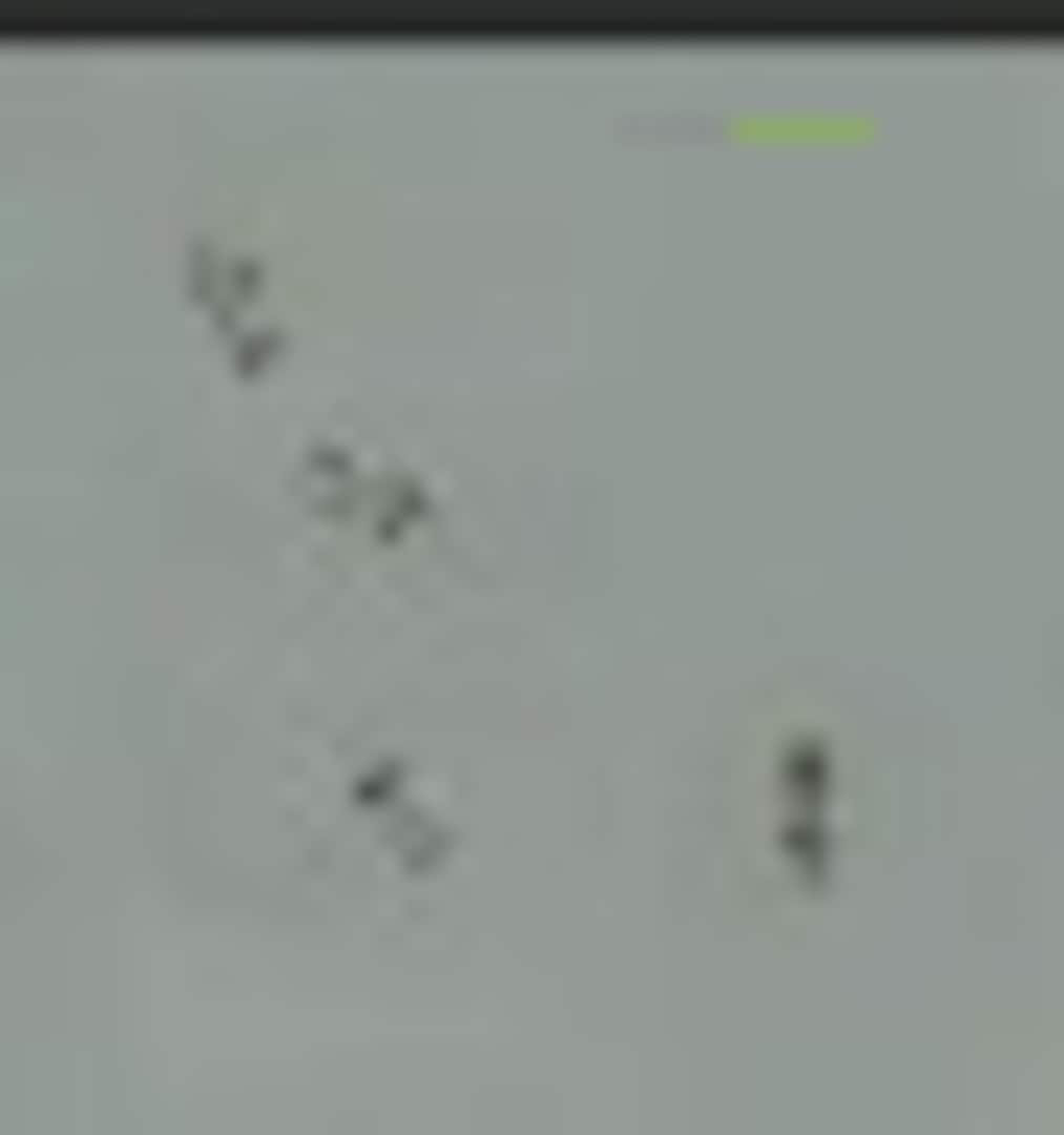 Boxart Lotus 49 Air Valve Set ACS9698 Acu-Stion Boxart Lotus 49 Air Valve Set ACS9698 Acu-Stion