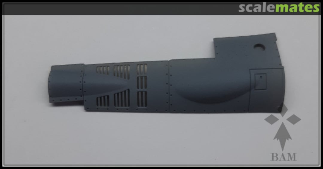 Boxart F-14A Tomcat - Early Gun Panels 48049-7 BAM Models Boxart F-14A Tomcat - Early Gun Panels 48049-7 BAM Models