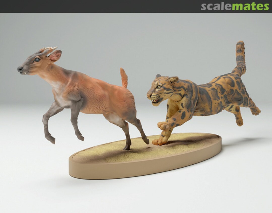 Boxart Clouded Leopard - Male hunting Muntjac 35130713 EMP3d
