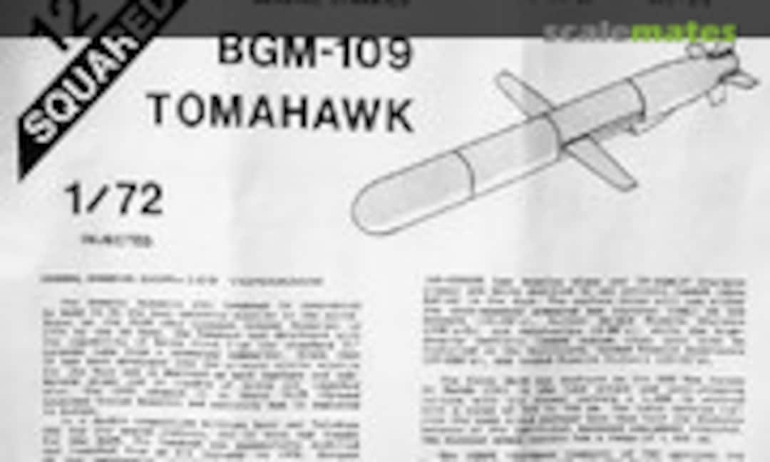 1:72 BGM-109 Tomahawk (Missile) (12 Squared 2-1) 2-1