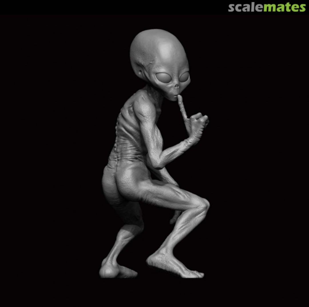 Boxart Grey Alien 02 A24-002 ION Model Boxart Grey Alien 02 A24-002 ION Model