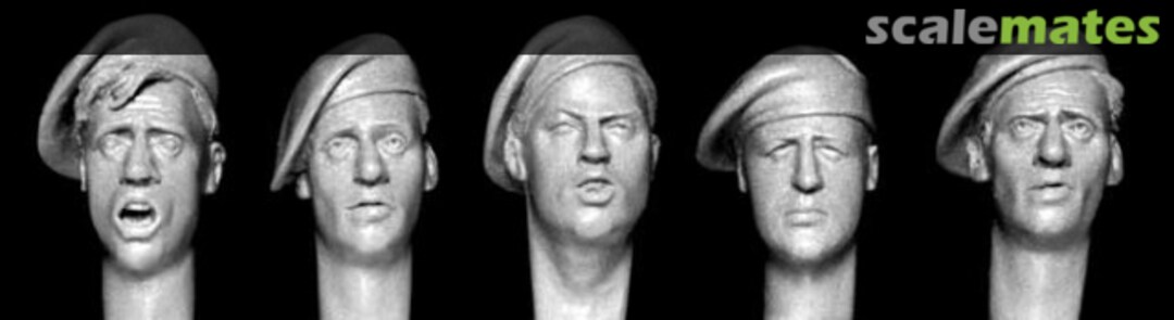 Boxart 5 different heads wearing British beret HBH14 Hornet & Wolf Boxart 5 different heads wearing British beret HBH14 Hornet & Wolf