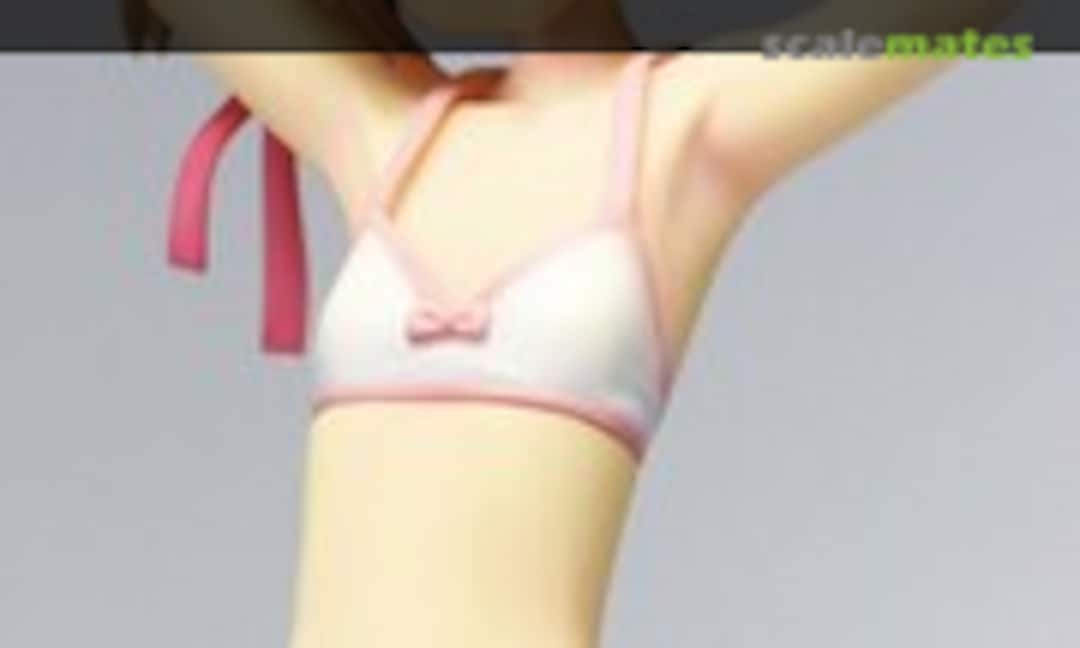 1:6 Silica (T's System )